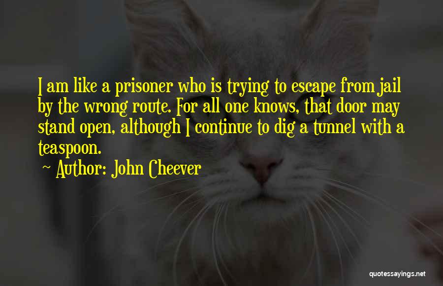 Am I Wrong Quotes By John Cheever