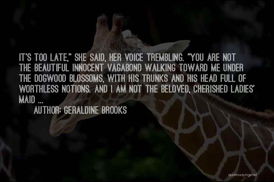 Am Innocent Quotes By Geraldine Brooks