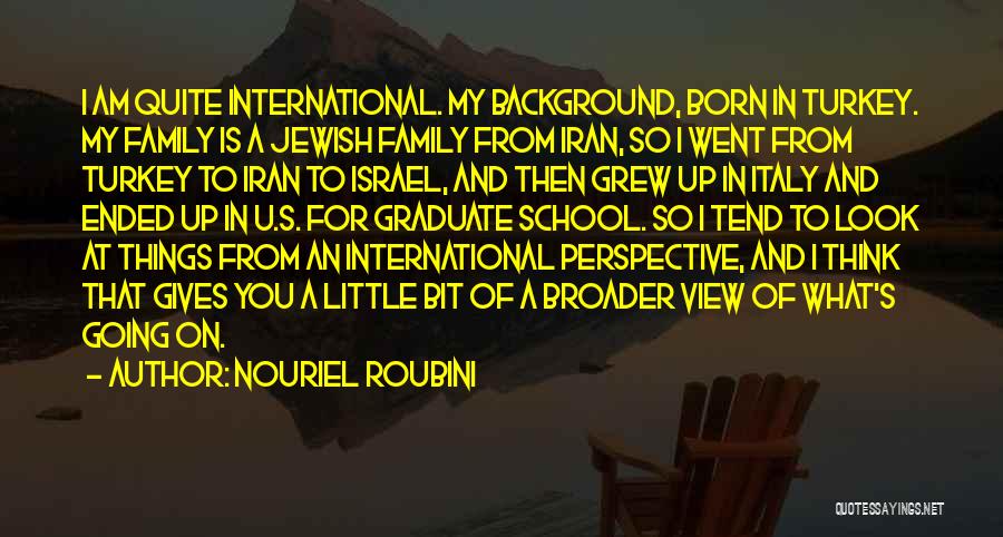 Am International Quotes By Nouriel Roubini