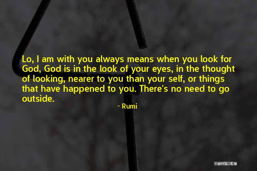 Am Looking For You Quotes By Rumi