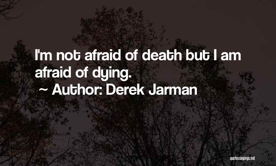 Am Not Afraid Of Death Quotes By Derek Jarman