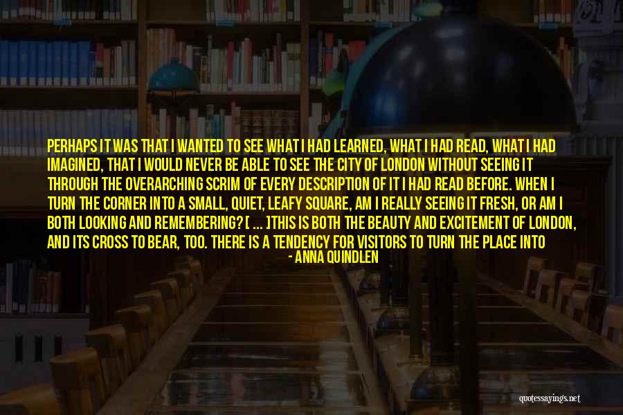 Am Not Beauty Quotes By Anna Quindlen Am Not Beauty Quotes By Anna Quindlen
