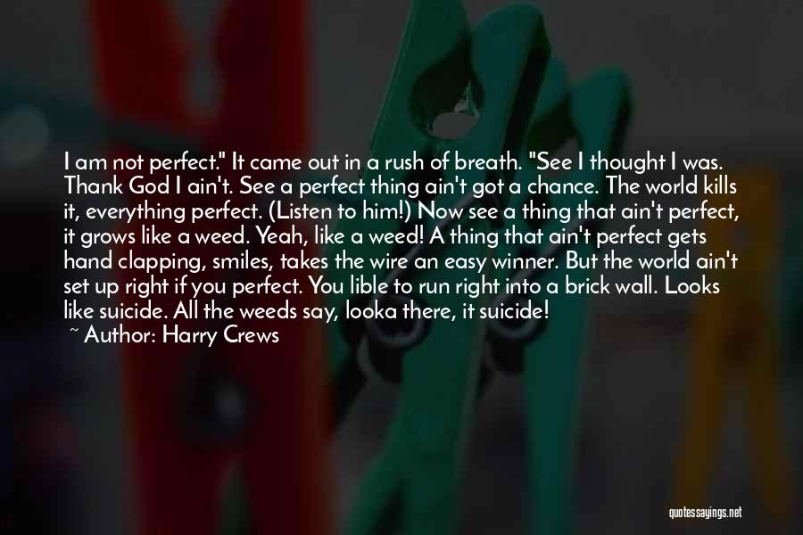 Am Not Perfect But Quotes By Harry Crews