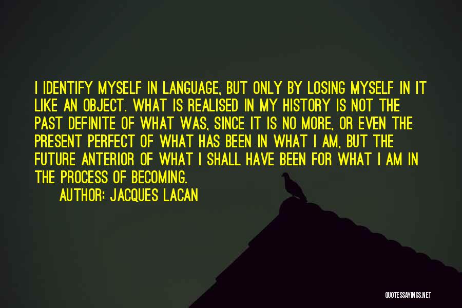 Am Not Perfect But Quotes By Jacques Lacan