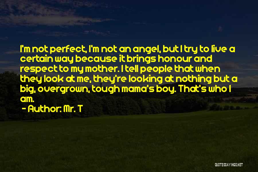 Am Not Perfect But Quotes By Mr. T