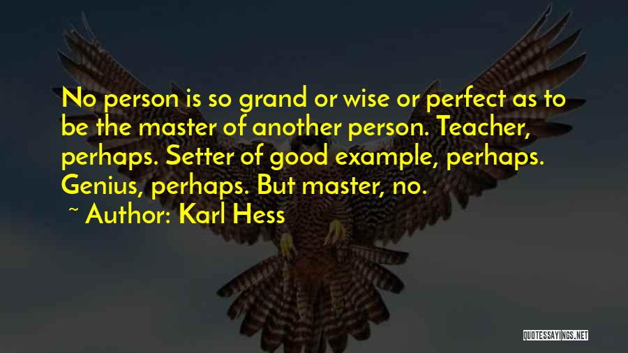 Am Not Perfect Person Quotes By Karl Hess