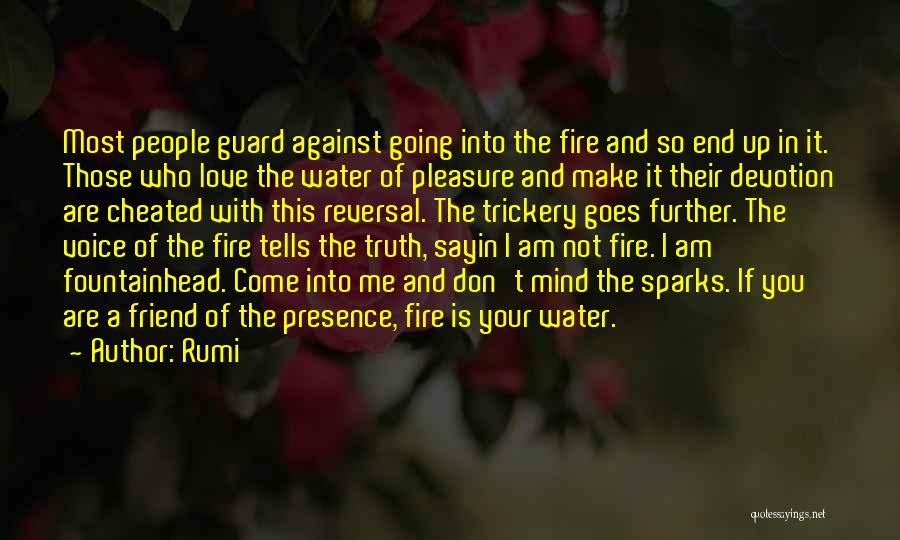 Am Not Your Friend Quotes By Rumi