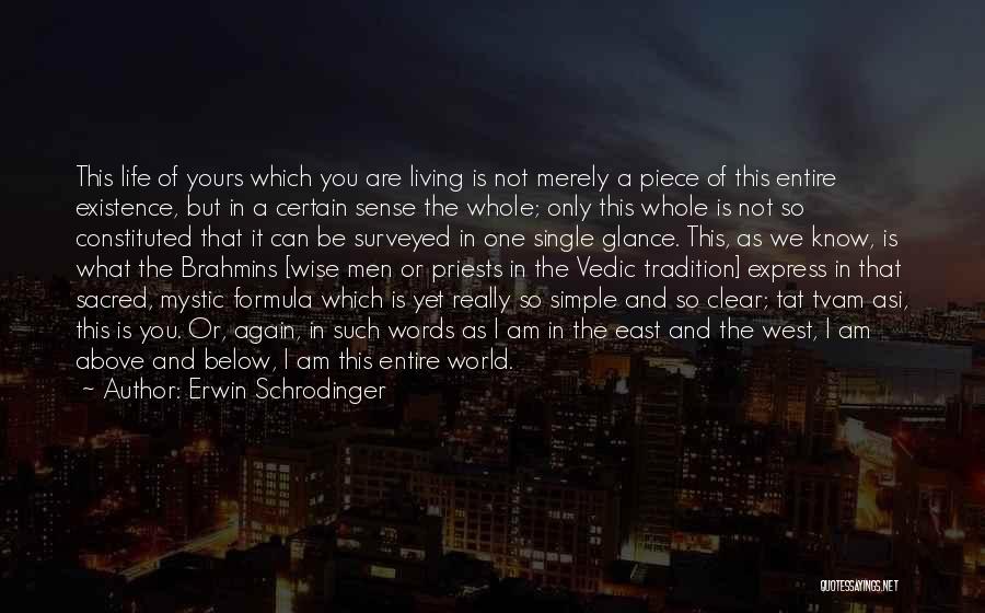 Am Not Yours Quotes By Erwin Schrodinger