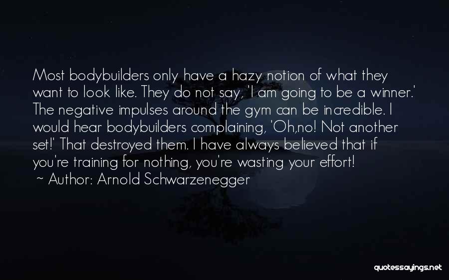 Am Nothing For You Quotes By Arnold Schwarzenegger