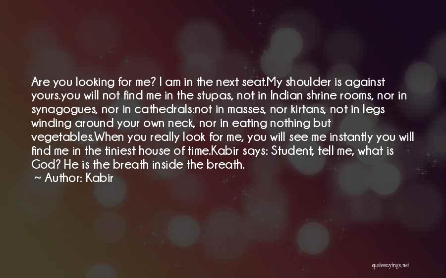 Am Nothing For You Quotes By Kabir