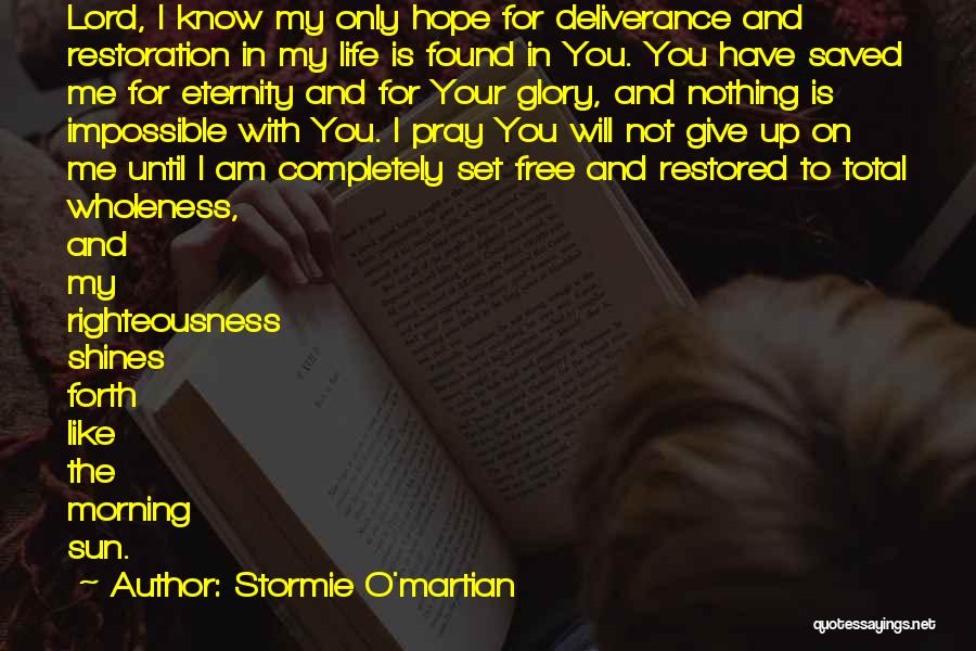 Am Nothing For You Quotes By Stormie O'martian