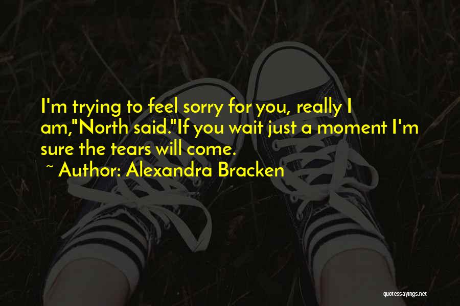 Am Really Sorry Quotes By Alexandra Bracken