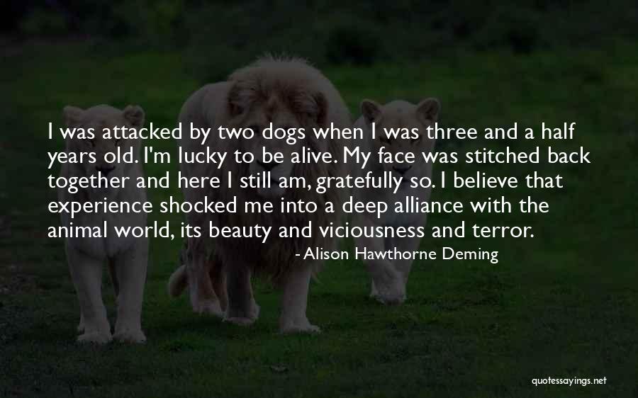 Am Shocked Quotes By Alison Hawthorne Deming Am Shocked Quotes By Alison Hawthorne Deming