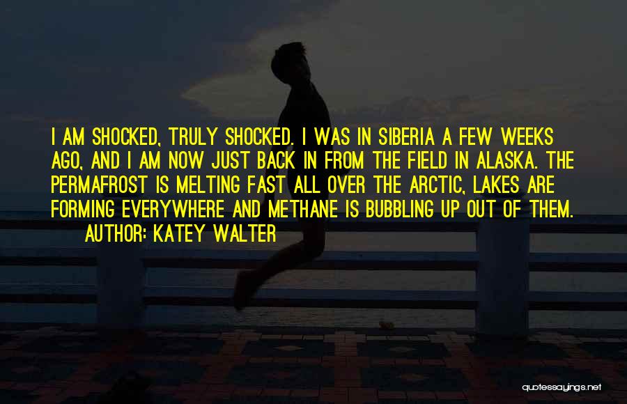 Am Shocked Quotes By Katey Walter