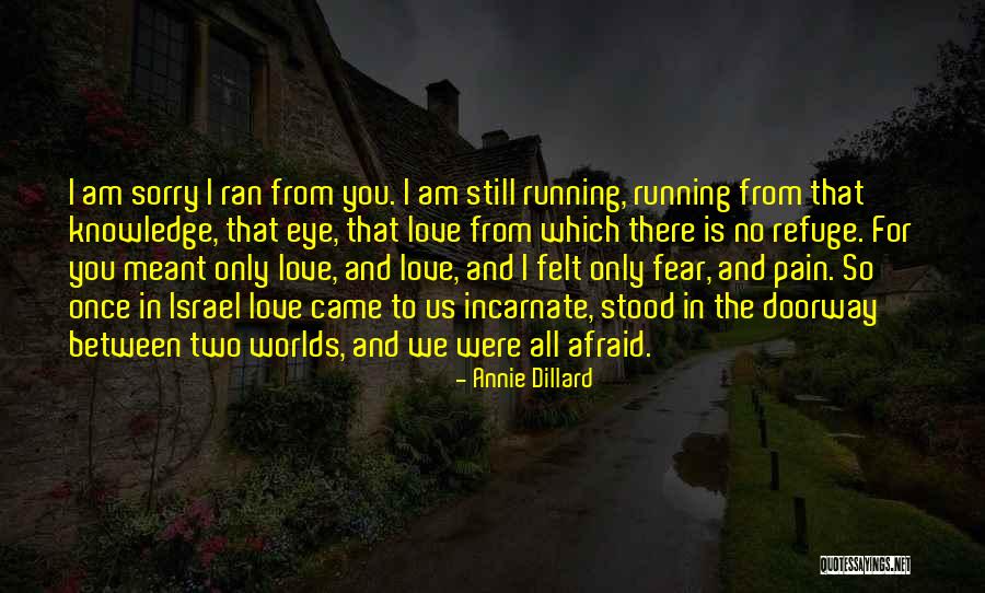 Am So Sorry Love Quotes By Annie Dillard Am So Sorry Love Quotes By Annie Dillard