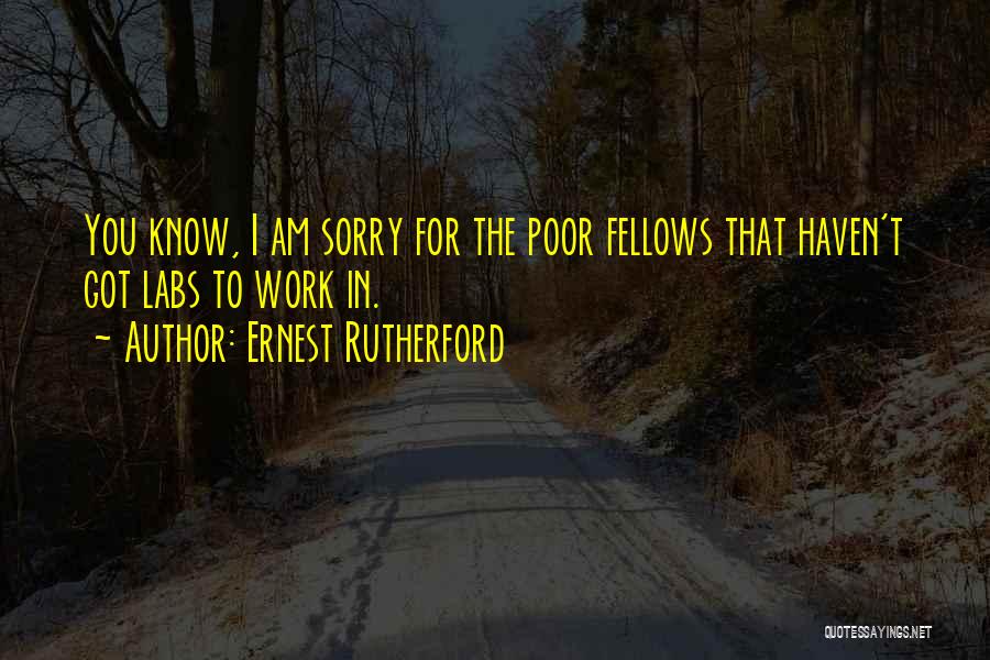 Am Sorry For You Quotes By Ernest Rutherford