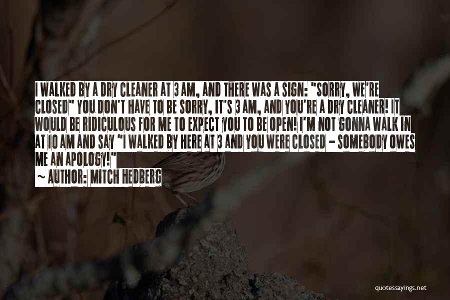 Am Sorry For You Quotes By Mitch Hedberg