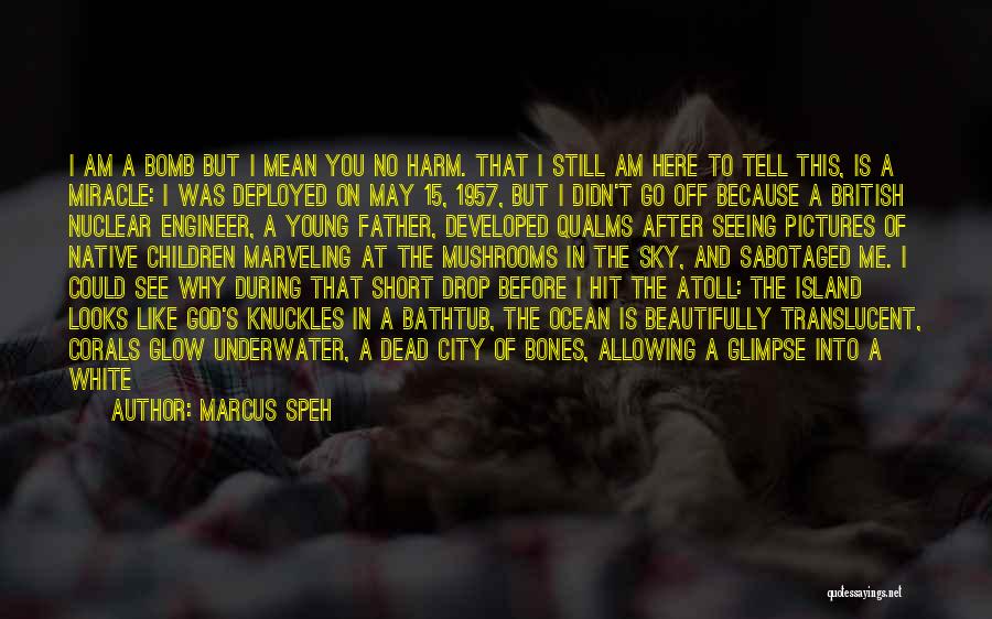 Am Still Here Quotes By Marcus Speh