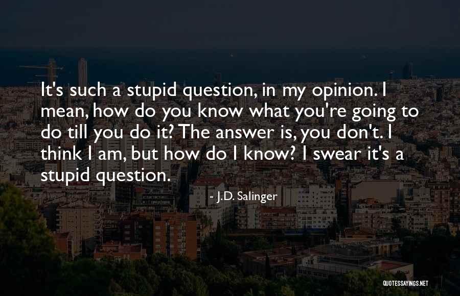 Am Stupid Quotes By J.D. Salinger Am Stupid Quotes By J.D. Salinger