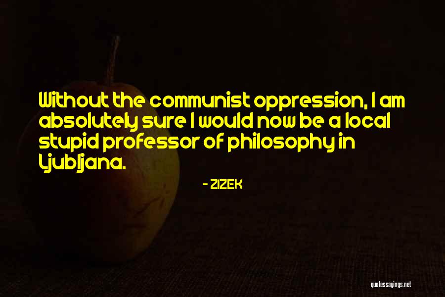 Am Stupid Quotes By ZIZEK Am Stupid Quotes By ZIZEK