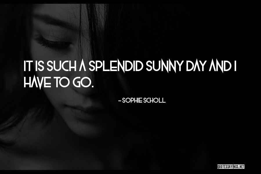 Ama Nicolae Quotes By Sophie Scholl Ama Nicolae Quotes By Sophie Scholl