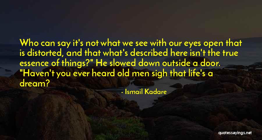 Amac Benefits Quotes By Ismail Kadare Amac Benefits Quotes By Ismail Kadare