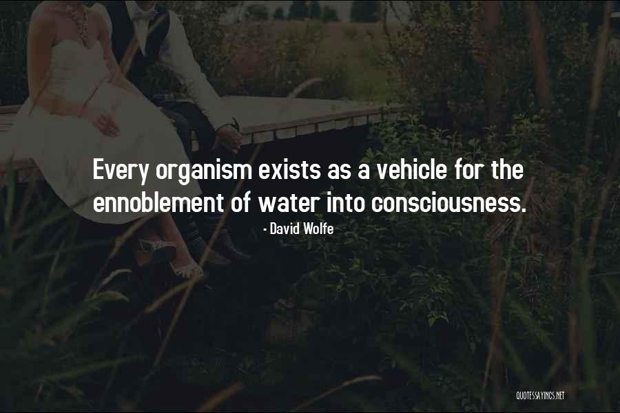 Amadee Artist Quotes By David Wolfe Amadee Artist Quotes By David Wolfe