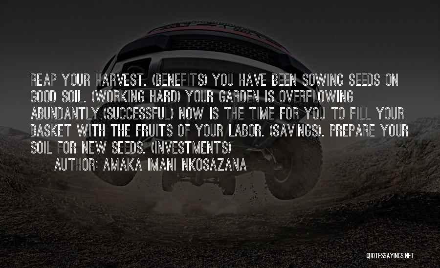 Amaka Imani Nkosazana Quotes 332182