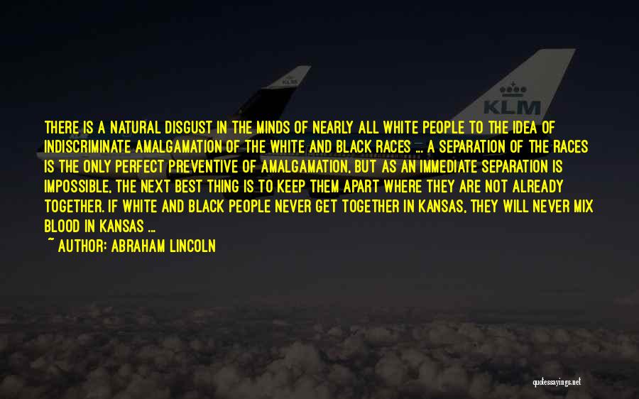 Amalgamation Quotes By Abraham Lincoln