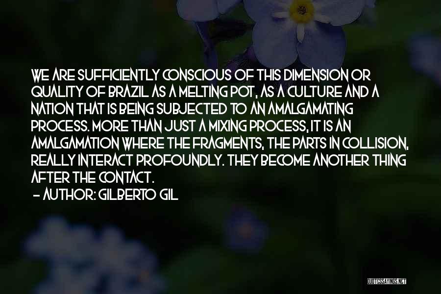 Amalgamation Quotes By Gilberto Gil