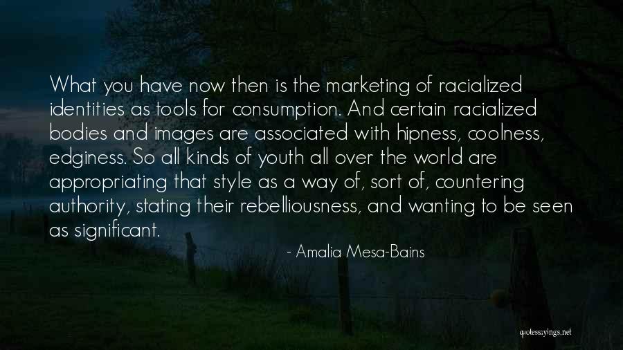Amalia Quotes By Amalia Mesa-Bains Amalia Quotes By Amalia Mesa-Bains