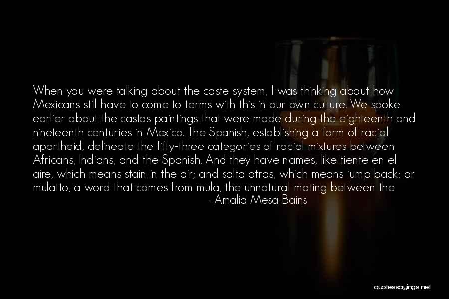 Amalia Quotes By Amalia Mesa-Bains Amalia Quotes By Amalia Mesa-Bains
