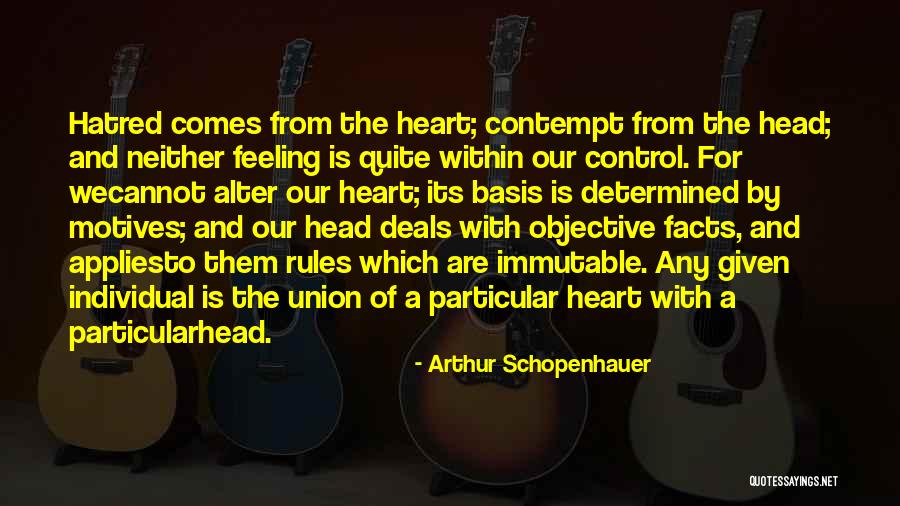 Amalita Amalfi Quotes By Arthur Schopenhauer Amalita Amalfi Quotes By Arthur Schopenhauer