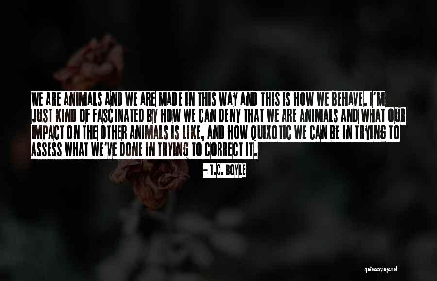 Amaliya Mordvinova Quotes By T.C. Boyle Amaliya Mordvinova Quotes By T.C. Boyle