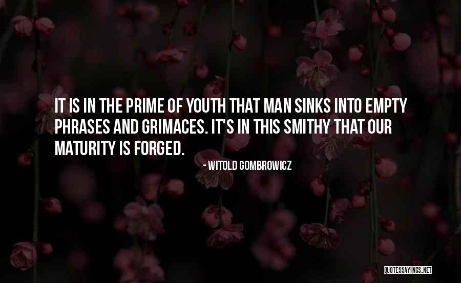 Amamak Photography Quotes By Witold Gombrowicz Amamak Photography Quotes By Witold Gombrowicz