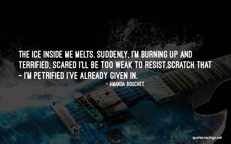 Amanda Bouchet Quotes 1688616