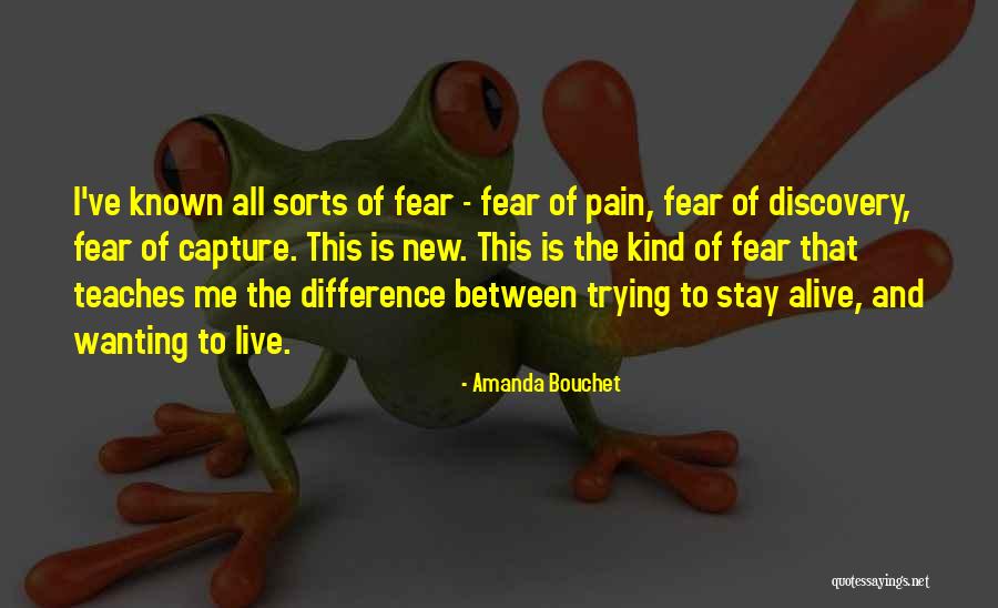 Amanda Bouchet Quotes 478957