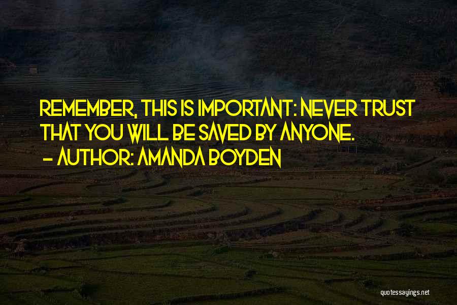 Amanda Boyden Quotes 1630558