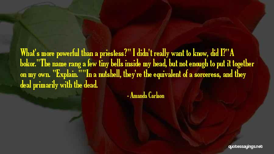 Amanda Carlson Quotes 255441