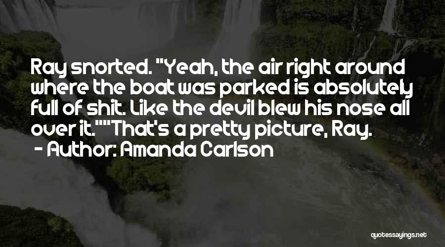 Amanda Carlson Quotes 344188