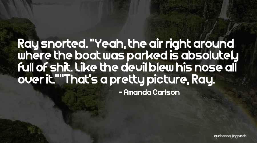 Amanda Carlson Quotes 344188