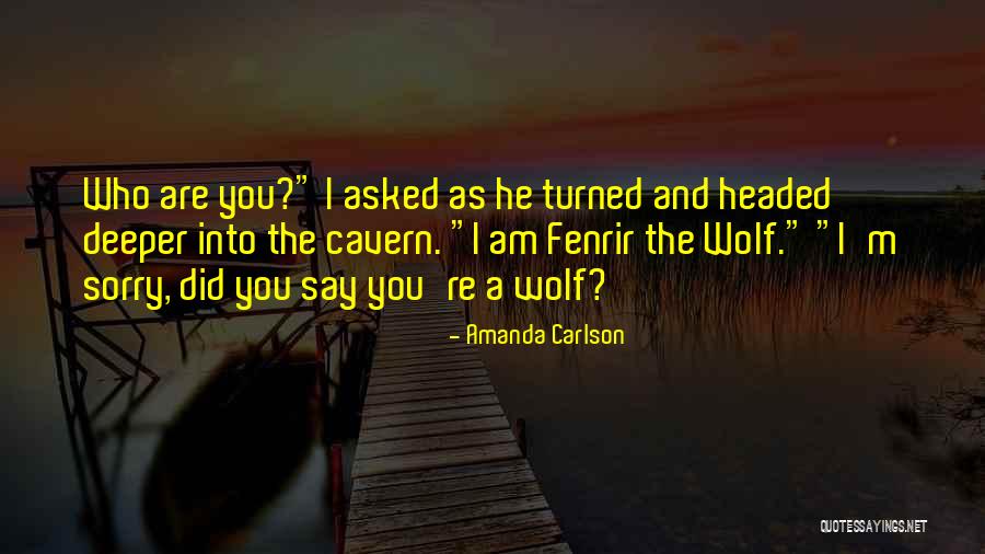 Amanda Carlson Quotes 353973