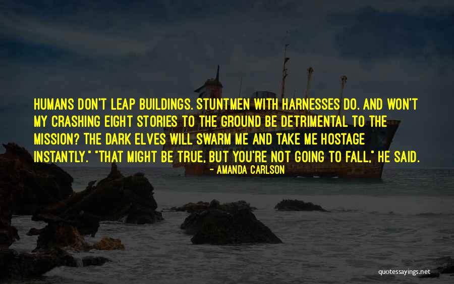 Amanda Carlson Quotes 575997