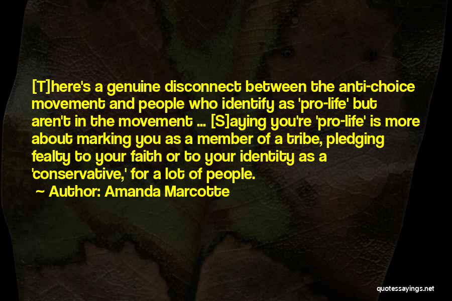 Amanda Marcotte Quotes 2201951