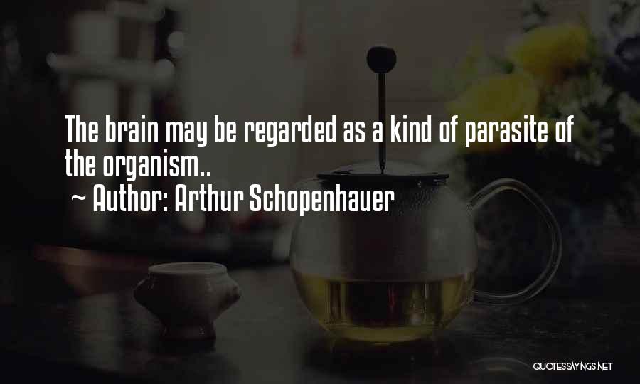 Amanda Mccrae Quotes By Arthur Schopenhauer