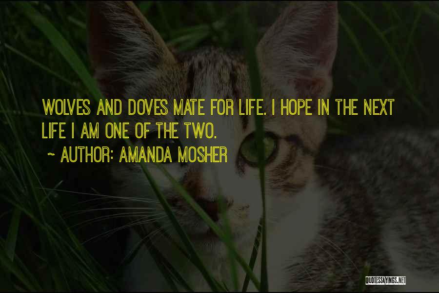 Amanda Mosher Quotes 1343062