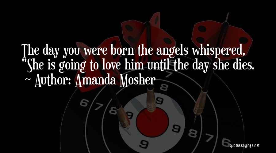 Amanda Mosher Quotes 2036441