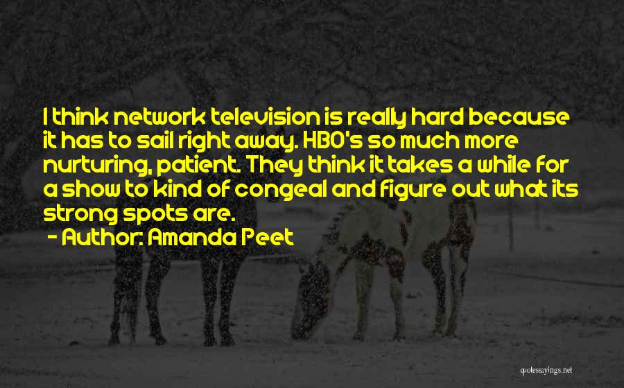 Amanda Peet Quotes 1213389