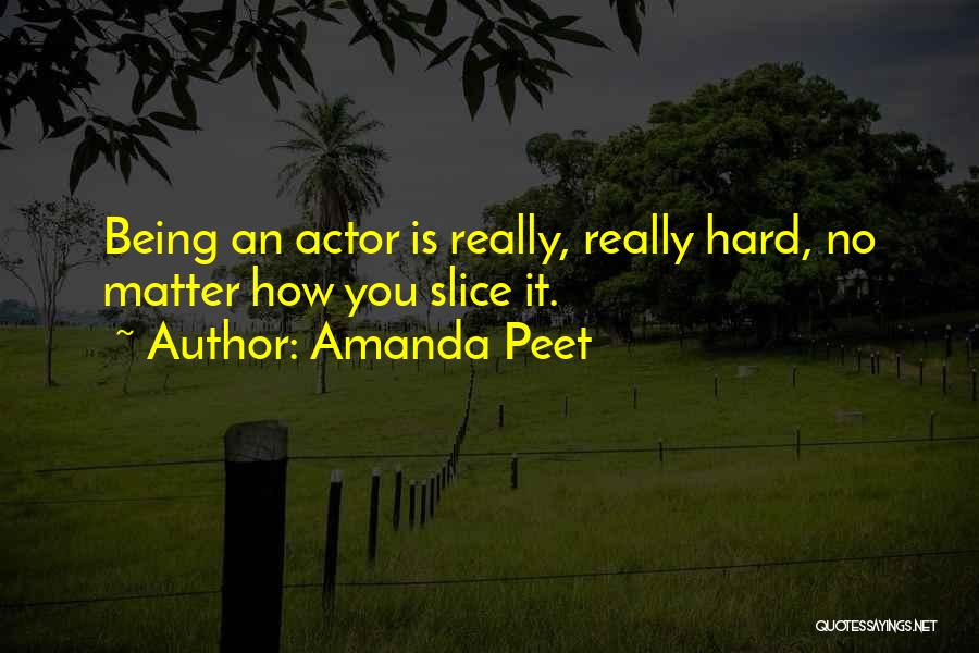 Amanda Peet Quotes 1268183