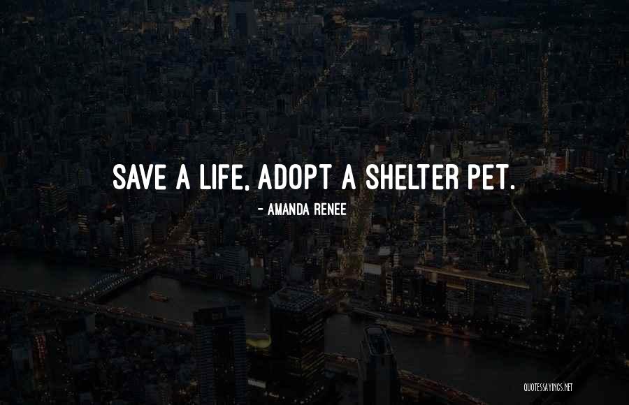 Amanda Renee Quotes 2169560 Amanda Renee Quotes 2169560